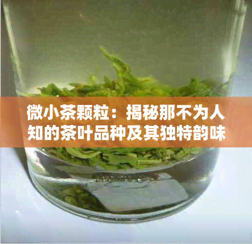 微小茶颗粒：揭秘那不为人知的茶叶品种及其独特韵味