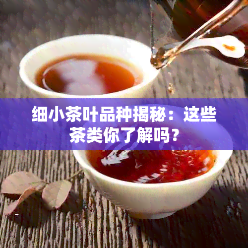 细小茶叶品种揭秘：这些茶类你了解吗？