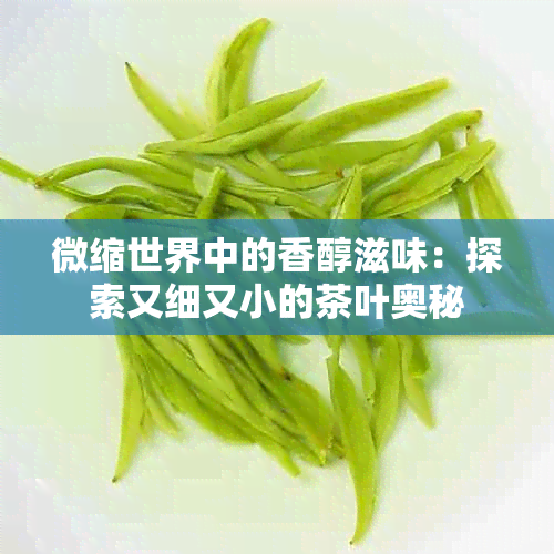 微缩世界中的香醇滋味：探索又细又小的茶叶奥秘