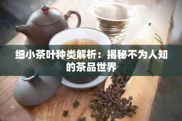 细小茶叶种类解析：揭秘不为人知的茶品世界