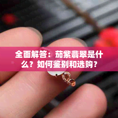 全面解答：茄紫翡翠是什么？如何鉴别和选购？