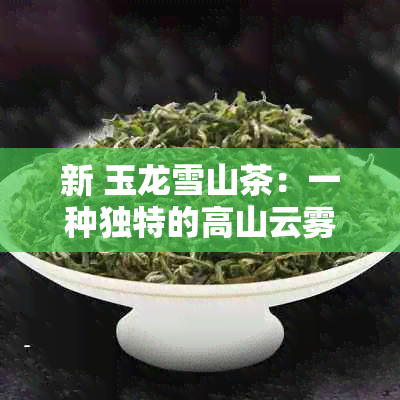 新 玉龙雪山茶：一种独特的高山云雾茶类，源自丽江的珍贵绿茶体验