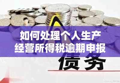 如何处理个人生产经营所得税逾期申报问题：全面解决方案与注意事项