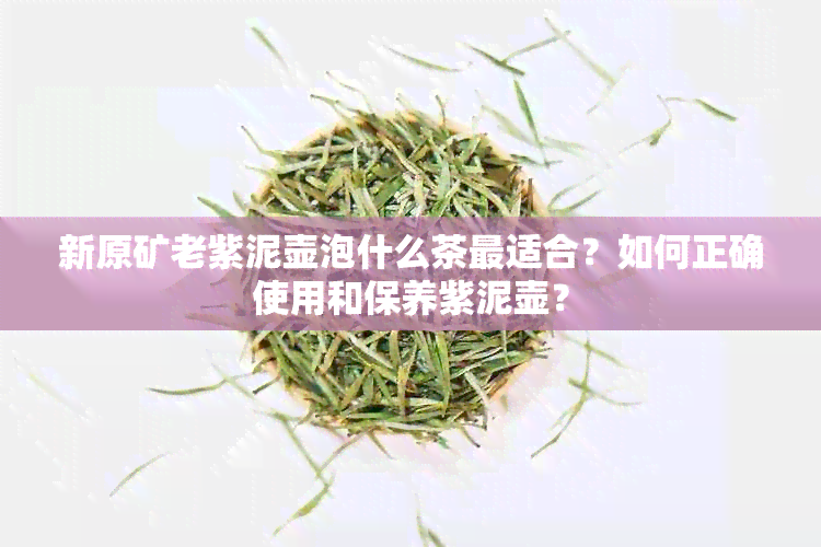 新原矿老紫泥壶泡什么茶最适合？如何正确使用和保养紫泥壶？