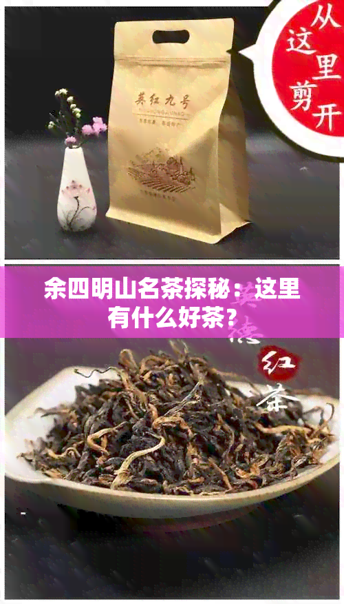 余四明山名茶探秘：这里有什么好茶？