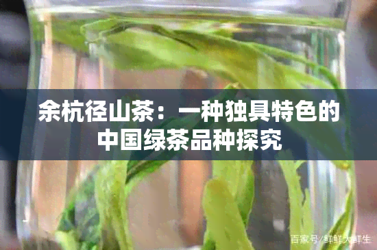 余杭径山茶：一种独具特色的中国绿茶品种探究