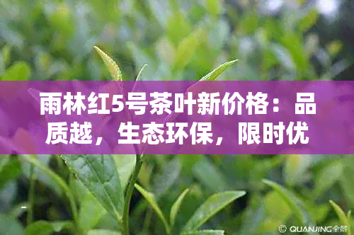 雨林红5号茶叶新价格：品质越，生态环保，限时优！