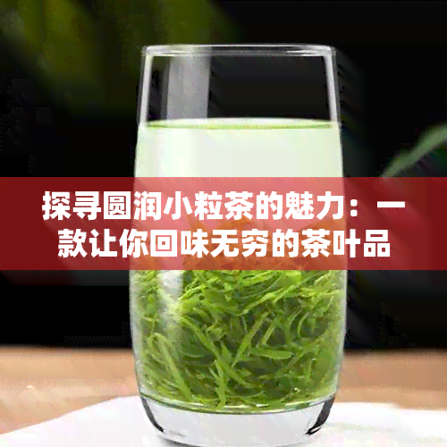 探寻圆润小粒茶的魅力：一款让你回味无穷的茶叶品种解析