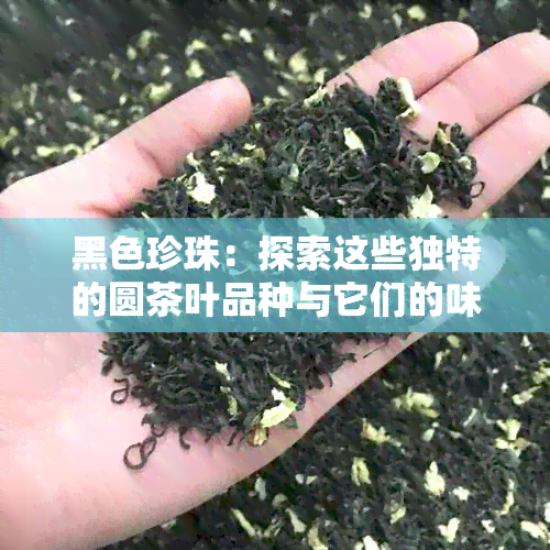 黑色珍珠：探索这些独特的圆茶叶品种与它们的味道奥秘