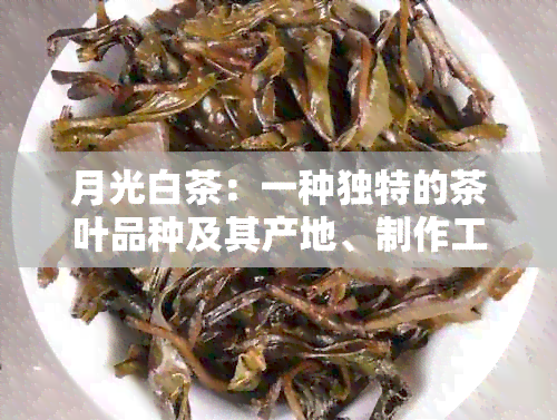 月光白茶：一种独特的茶叶品种及其产地、制作工艺详解