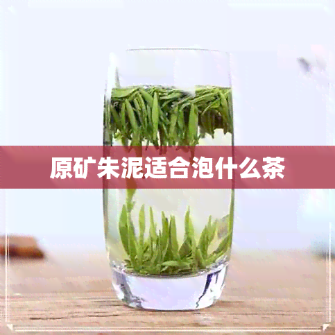 原矿朱泥适合泡什么茶