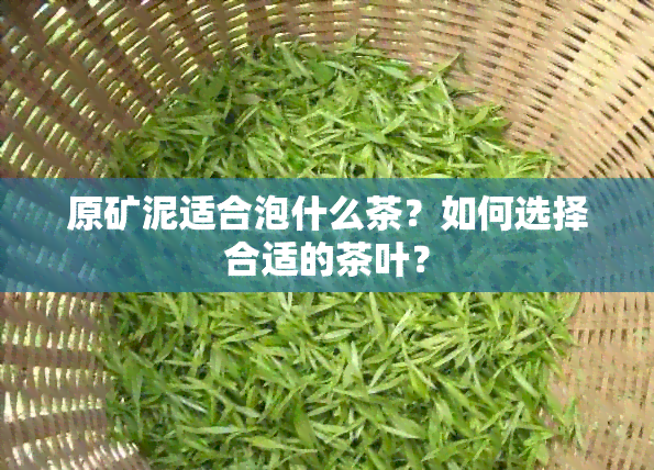 原矿泥适合泡什么茶？如何选择合适的茶叶？