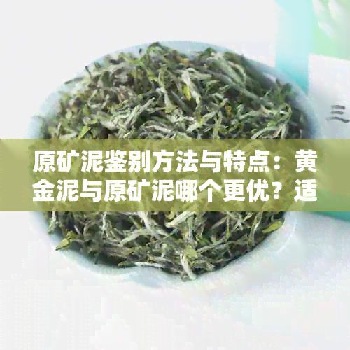 原矿泥鉴别方法与特点：黄金泥与原矿泥哪个更优？适合泡什么茶？