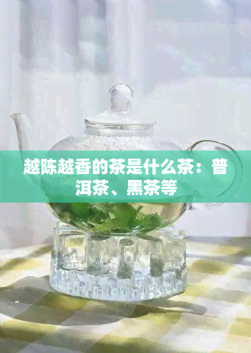 越陈越香的茶是什么茶：普洱茶、黑茶等