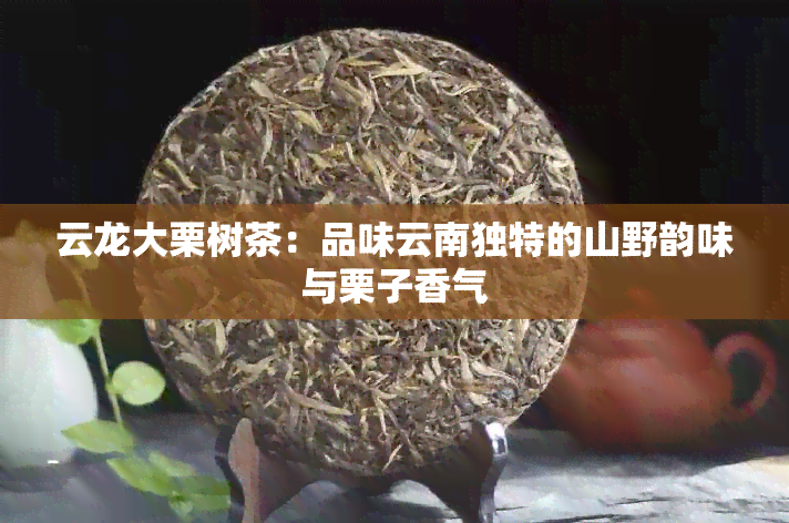 云龙大栗树茶：品味云南独特的山野韵味与栗子香气