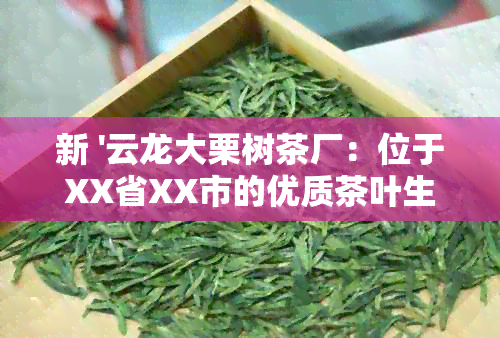 新 '云龙大栗树茶厂：位于XX省XX市的优质茶叶生产基地'