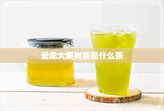 云龙大栗树茶是什么茶