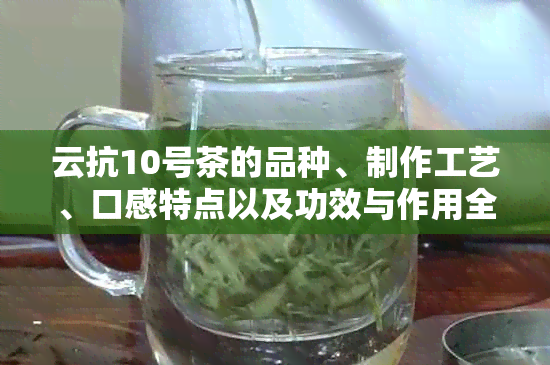 云抗10号茶的品种、制作工艺、口感特点以及功效与作用全方位解析