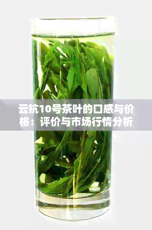 云抗10号茶叶的口感与价格：评价与市场行情分析