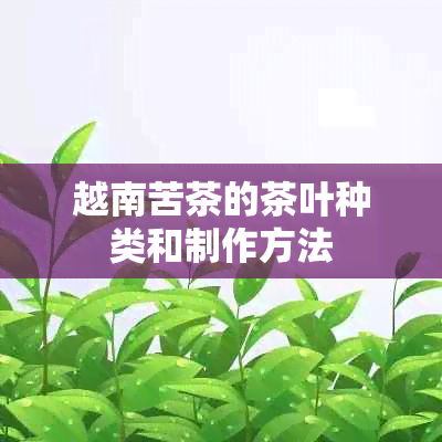 越南苦茶的茶叶种类和制作方法