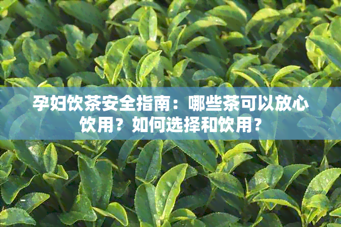 孕妇饮茶安全指南：哪些茶可以放心饮用？如何选择和饮用？