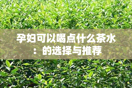 孕妇可以喝点什么茶水：的选择与推荐