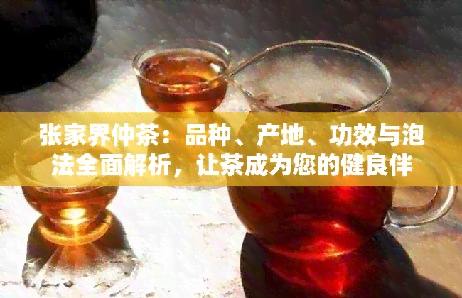 张家界仲茶：品种、产地、功效与泡法全面解析，让茶成为您的健良伴