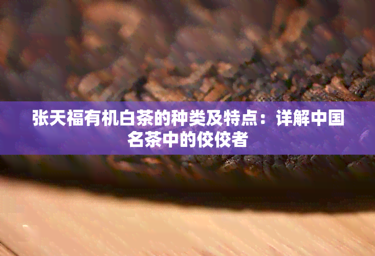 张天福有机白茶的种类及特点：详解中国名茶中的佼佼者