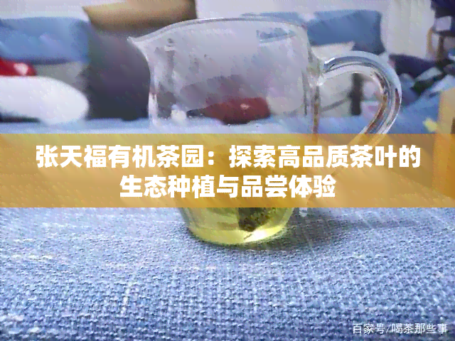 张天福有机茶园：探索高品质茶叶的生态种植与品尝体验