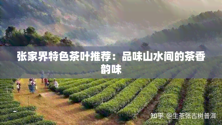 张家界特色茶叶推荐：品味山水间的茶香韵味