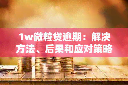 1w微粒贷逾期：解决方法、后果和应对策略