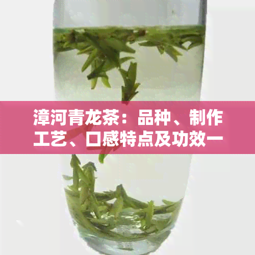 漳河青龙茶：品种、制作工艺、口感特点及功效一览，了解这种茶的全方位信息