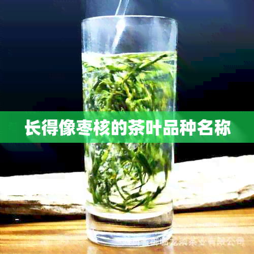 长得像枣核的茶叶品种名称