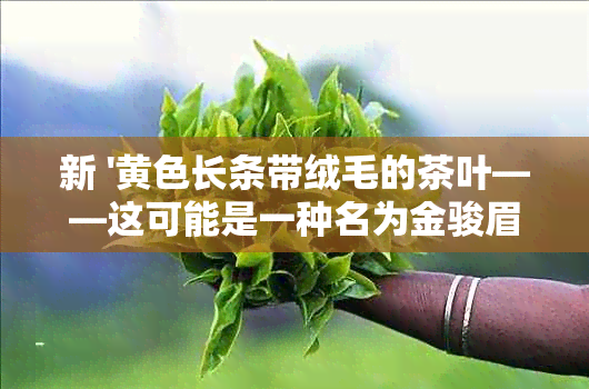 新 '黄色长条带绒毛的茶叶——这可能是一种名为金骏眉的特殊红茶'