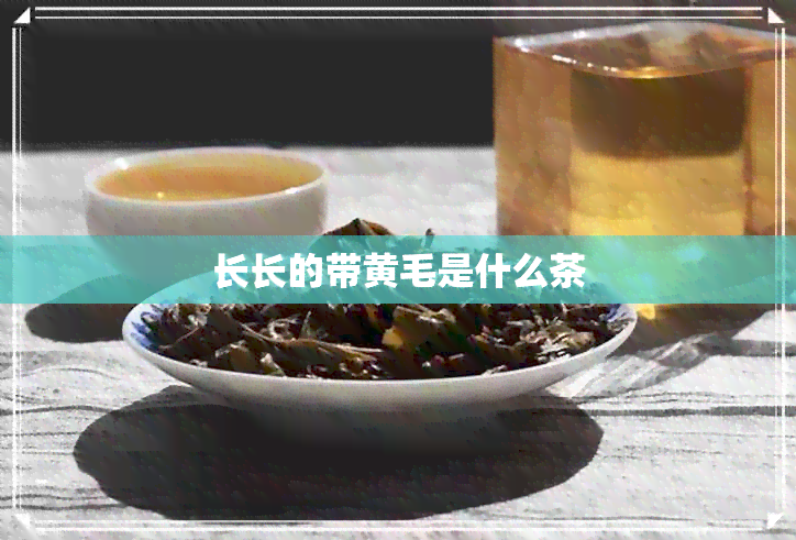 长长的带黄毛是什么茶