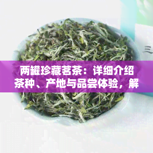 两罐珍藏茗茶：详细介绍茶种、产地与品尝体验，解答您关于茶叶的所有疑问