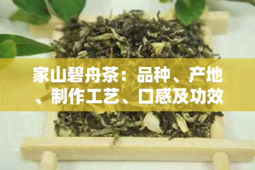 家山碧舟茶：品种、产地、制作工艺、口感及功效详解，一篇解答所有疑问