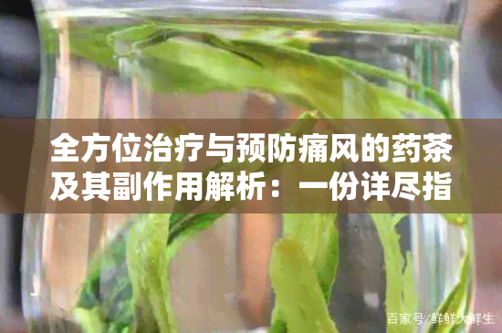 全方位治疗与预防痛风的茶及其副作用解析：一份详尽指南