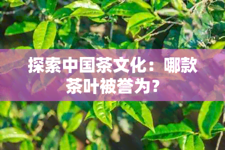 探索中国茶文化：哪款茶叶被誉为？