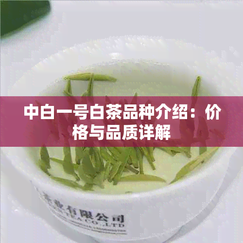 中白一号白茶品种介绍：价格与品质详解