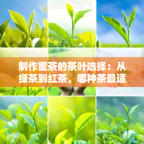 制作蜜茶的茶叶选择：从绿茶到红茶，哪种茶最适合调制蜜茶？