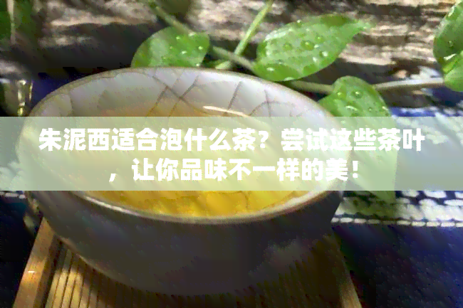 朱泥西适合泡什么茶？尝试这些茶叶，让你品味不一样的美！