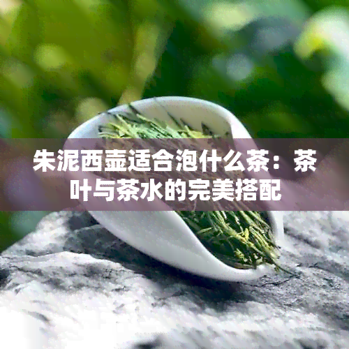 朱泥西壶适合泡什么茶：茶叶与茶水的完美搭配