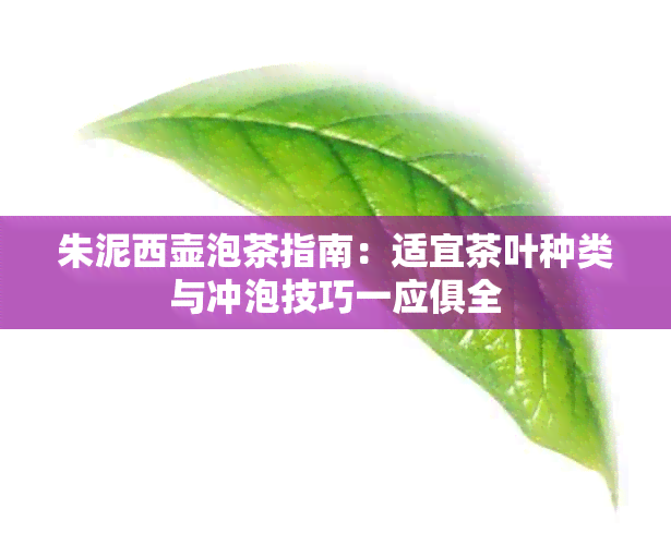 朱泥西壶泡茶指南：适宜茶叶种类与冲泡技巧一应俱全