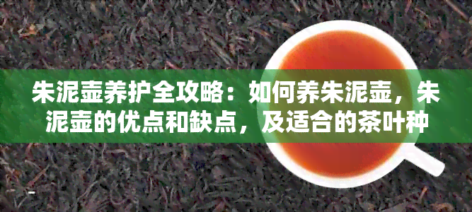 朱泥壶养护全攻略：如何养朱泥壶，朱泥壶的优点和缺点，及适合的茶叶种类