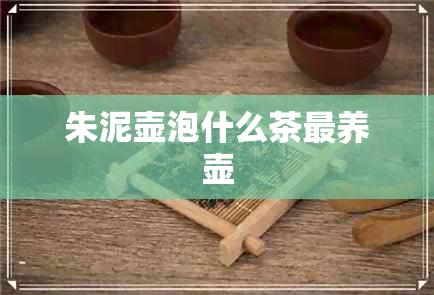 朱泥壶泡什么茶最养壶