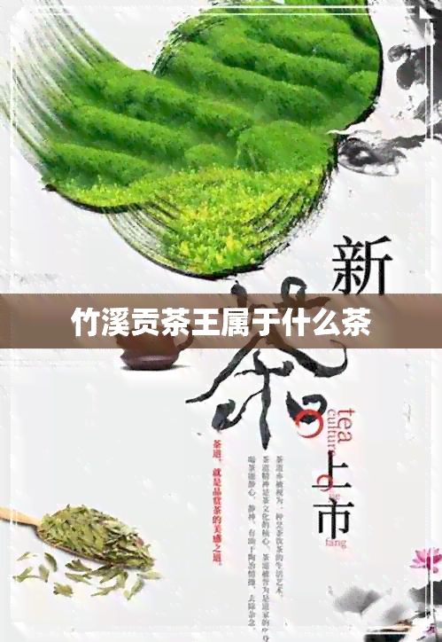 竹溪贡茶王属于什么茶