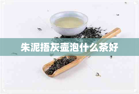 朱泥捂灰壶泡什么茶好