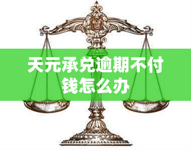 天元承兑逾期不付钱怎么办