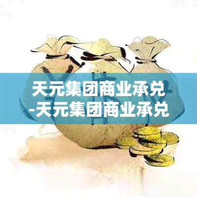 天元集团商业承兑-天元集团商业承兑汇票